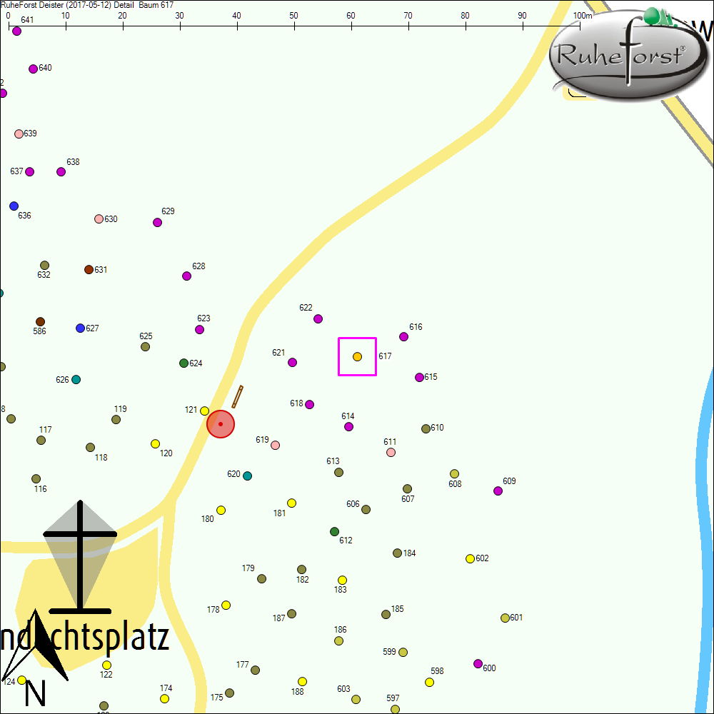 Detailkarte zu Baum 617