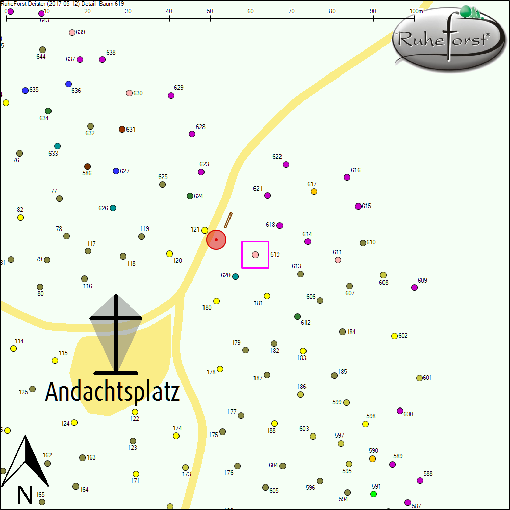 Detailkarte zu Baum 619