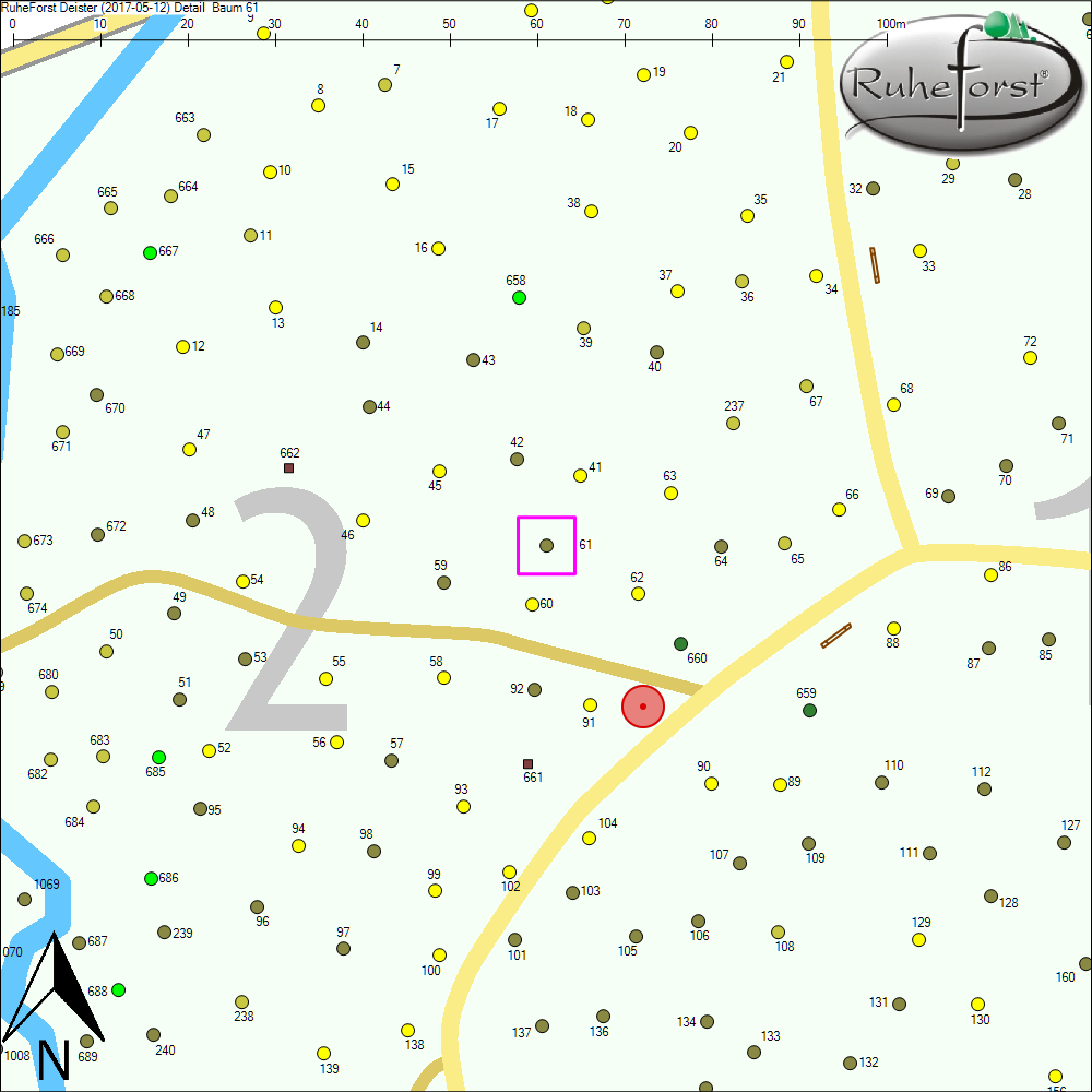 Detailkarte zu Baum 61