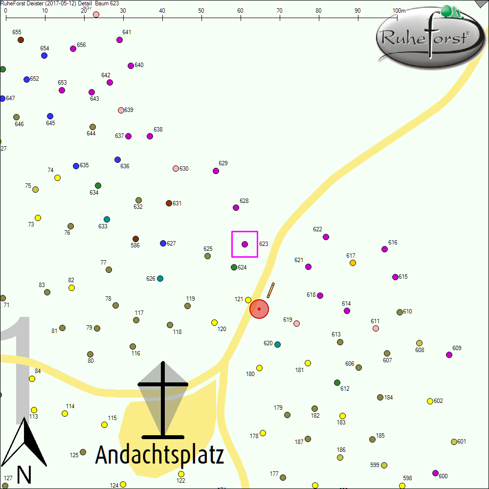 Detailkarte zu Baum 623