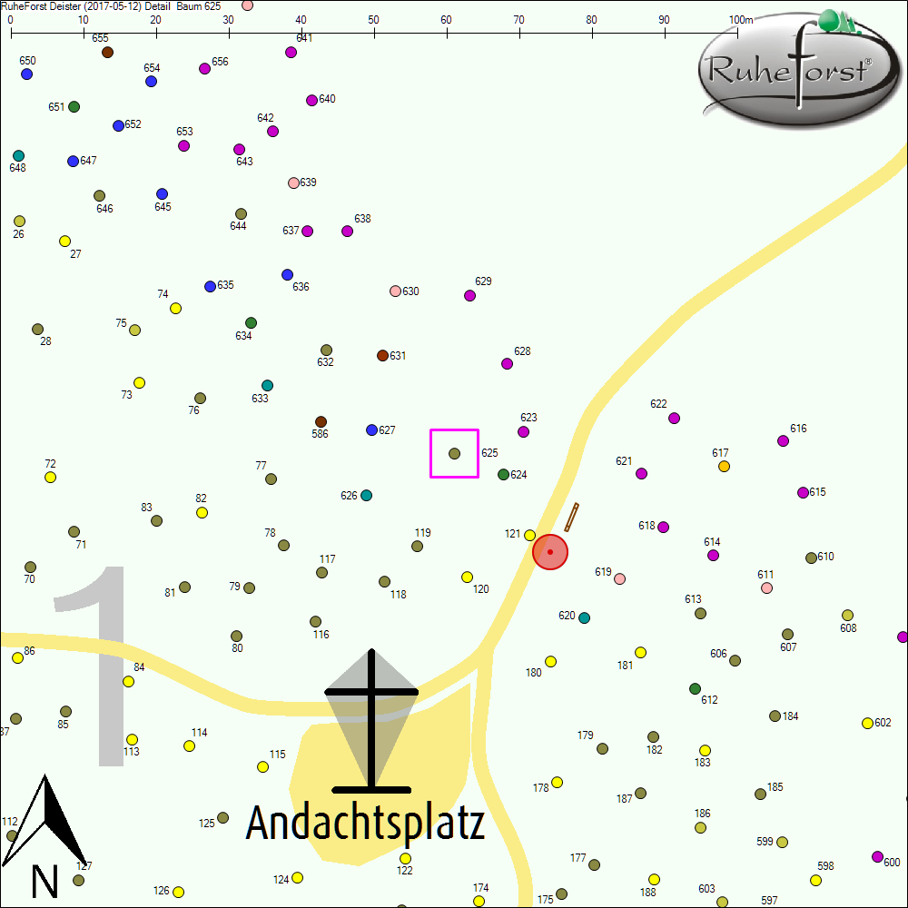 Detailkarte zu Baum 625