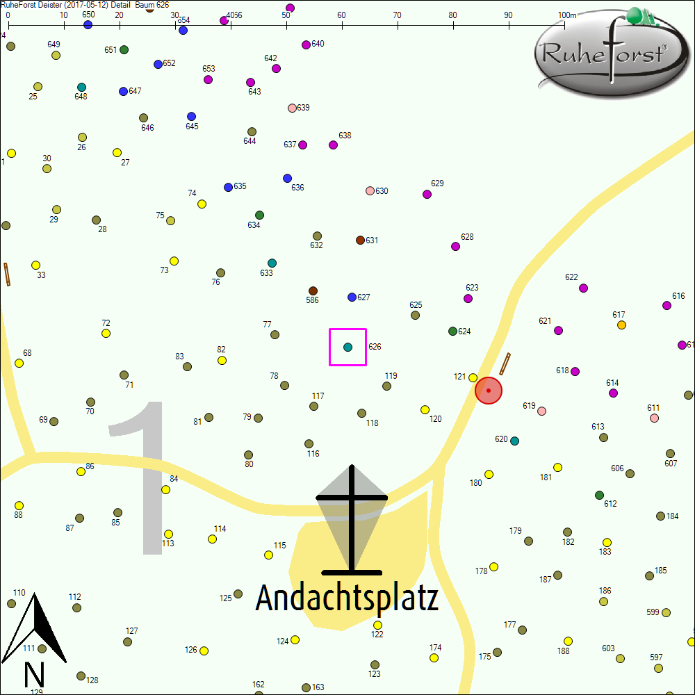 Detailkarte zu Baum 626