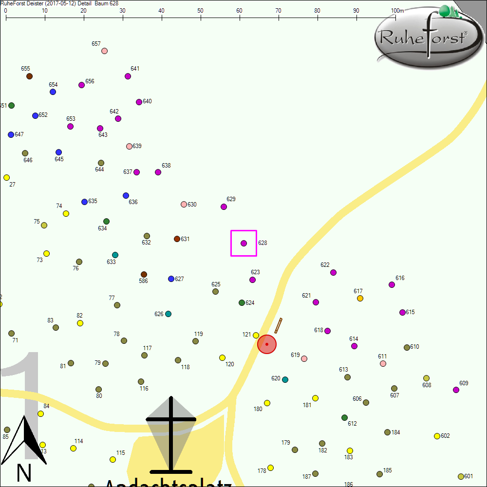 Detailkarte zu Baum 628