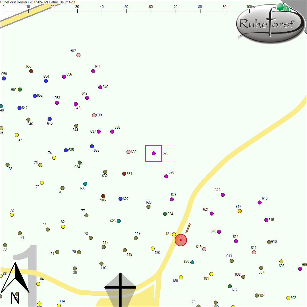 Detailkarte zu Baum 629