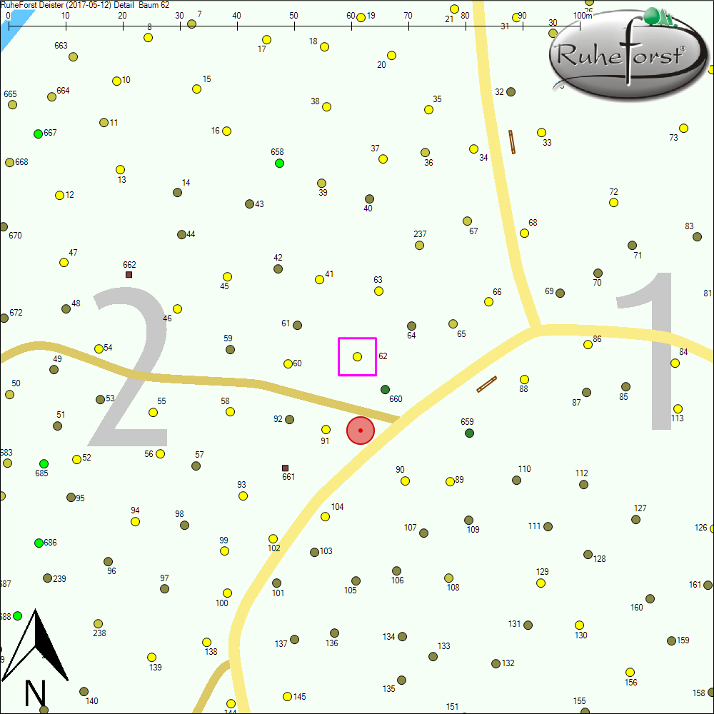 Detailkarte zu Baum 62