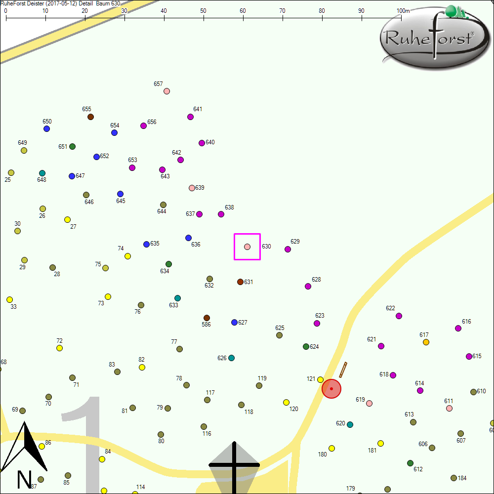 Detailkarte zu Baum 630