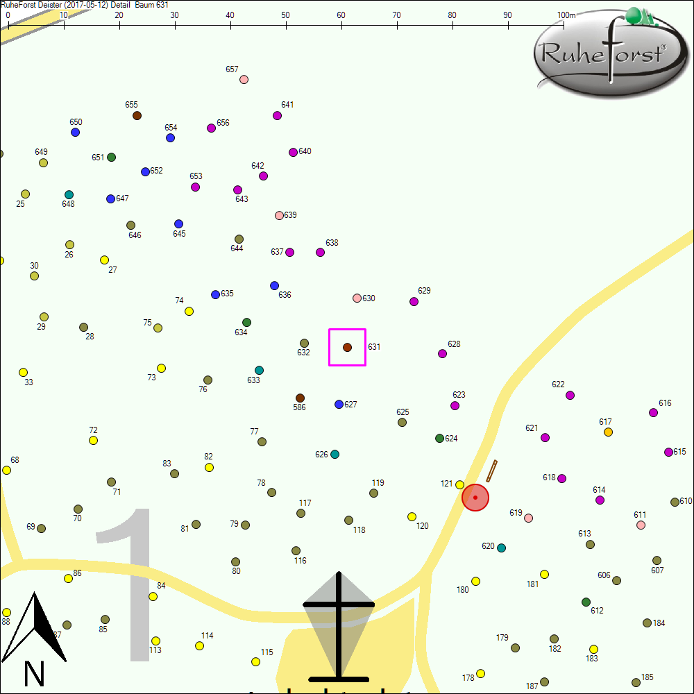 Detailkarte zu Baum 631