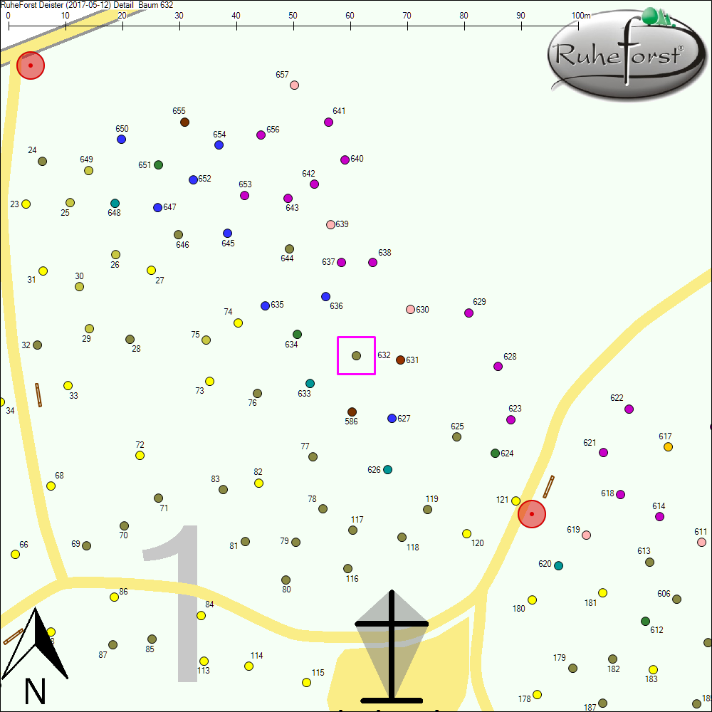 Detailkarte zu Baum 632