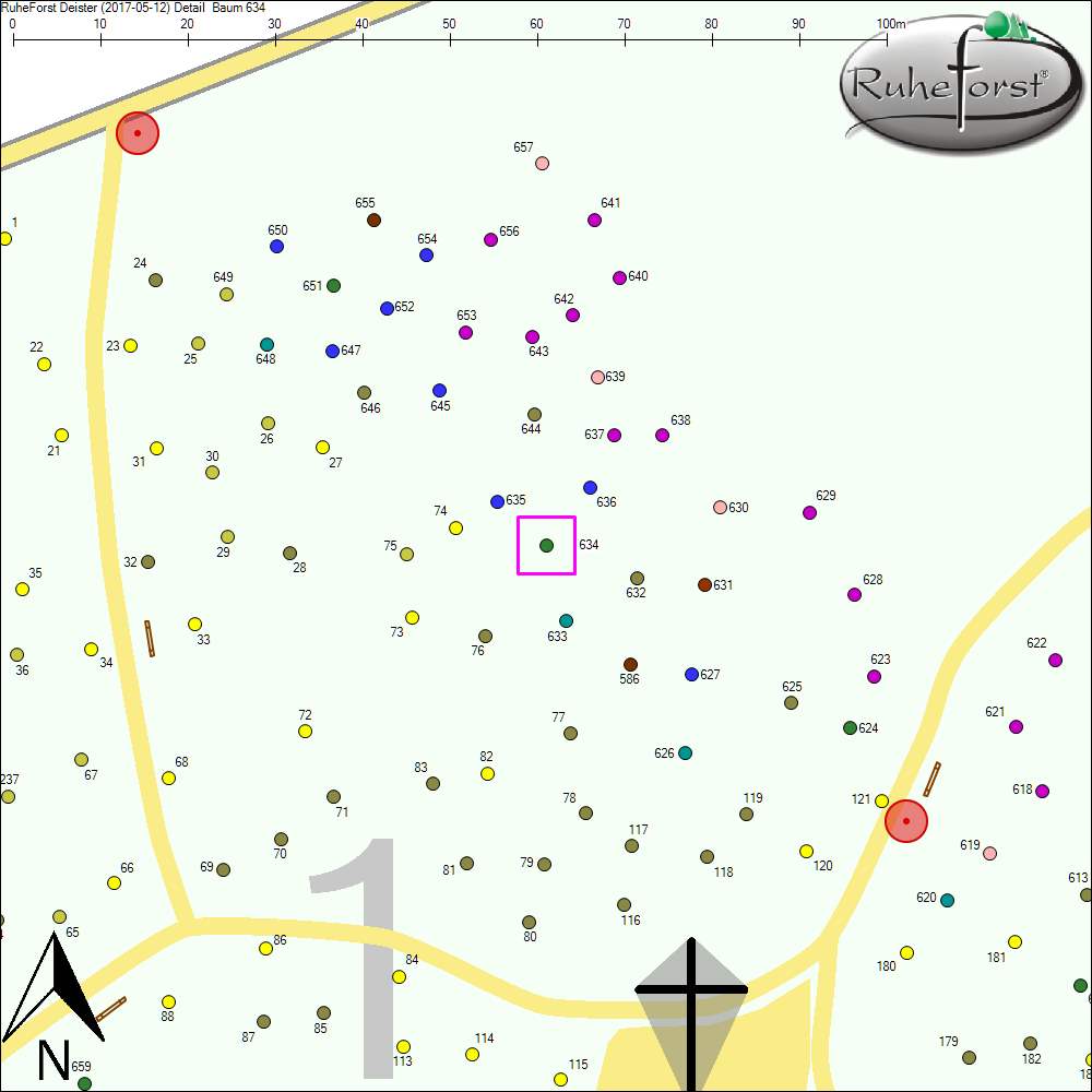 Detailkarte zu Baum 634
