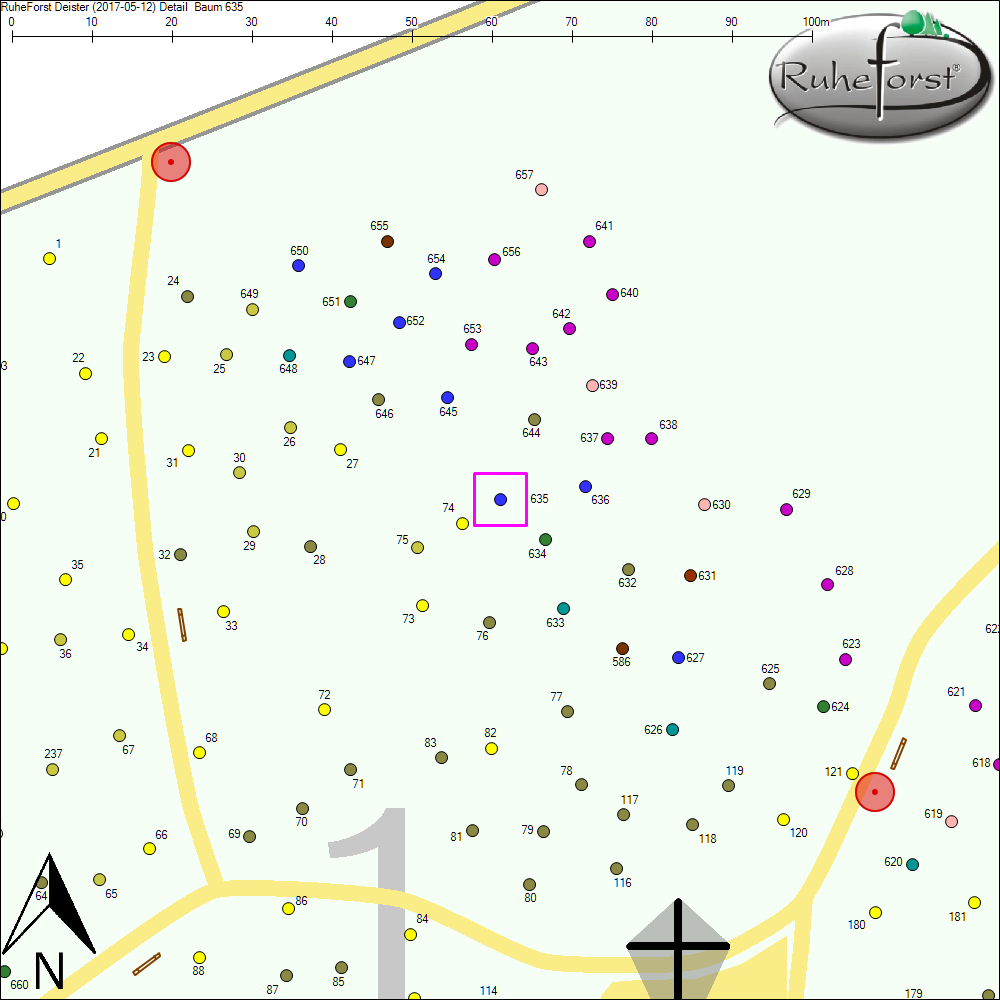 Detailkarte zu Baum 635