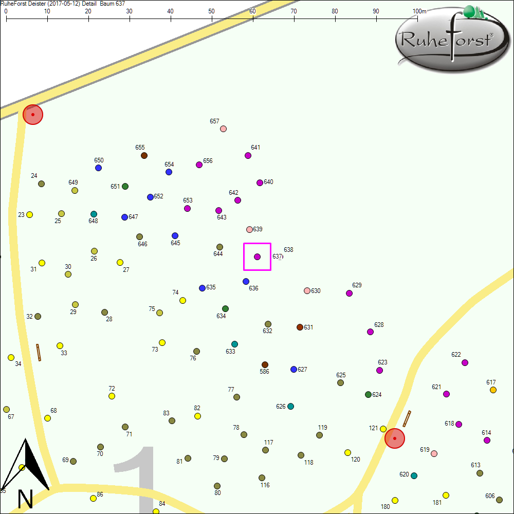 Detailkarte zu Baum 637
