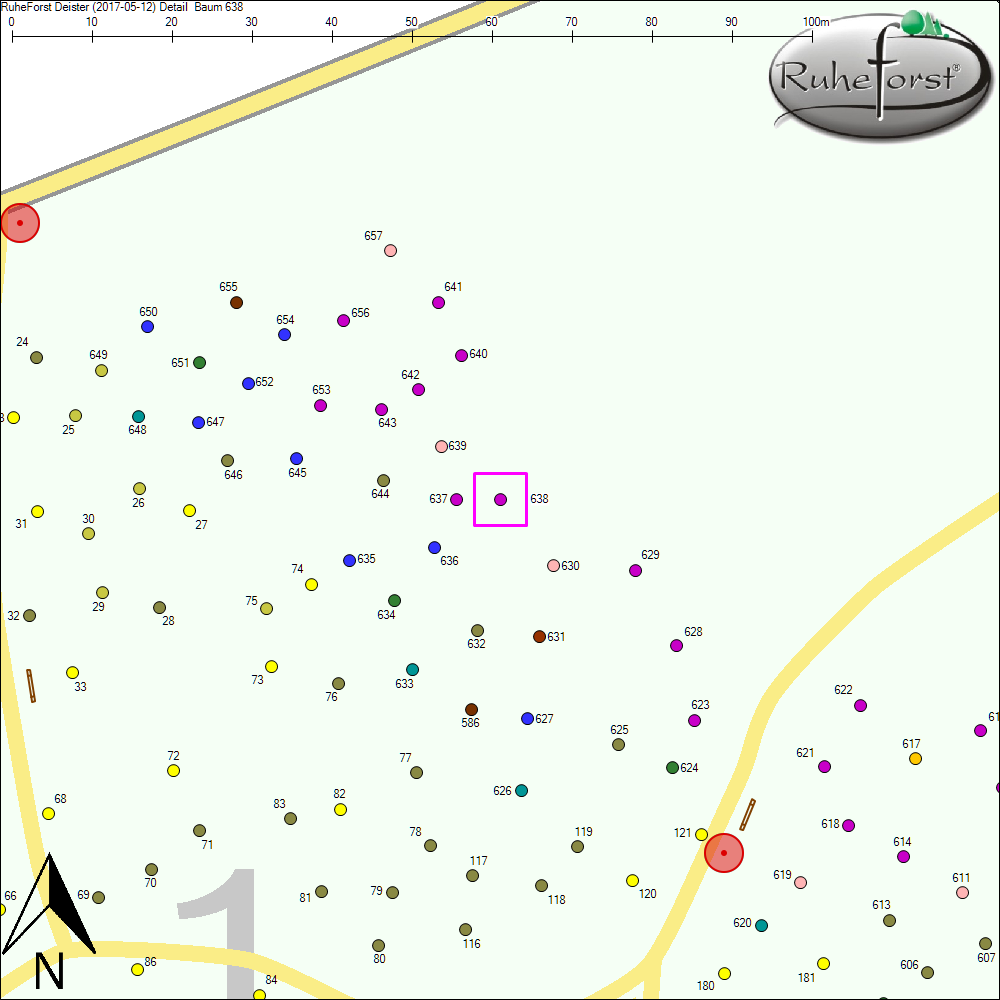 Detailkarte zu Baum 638