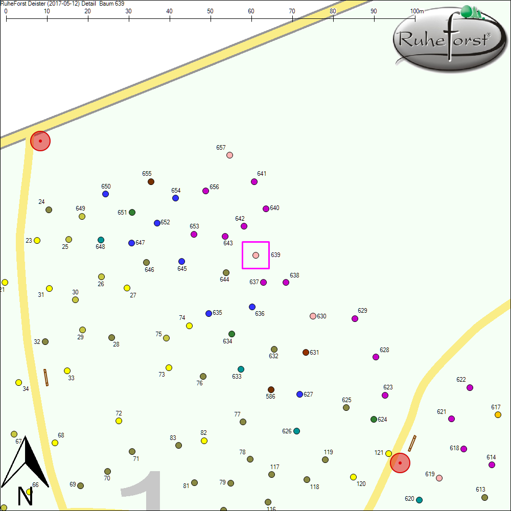 Detailkarte zu Baum 639