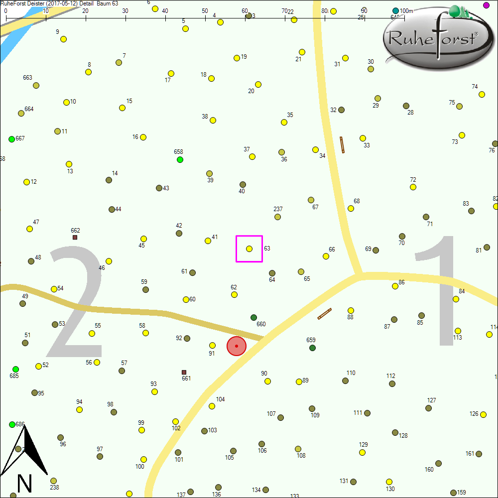 Detailkarte zu Baum 63