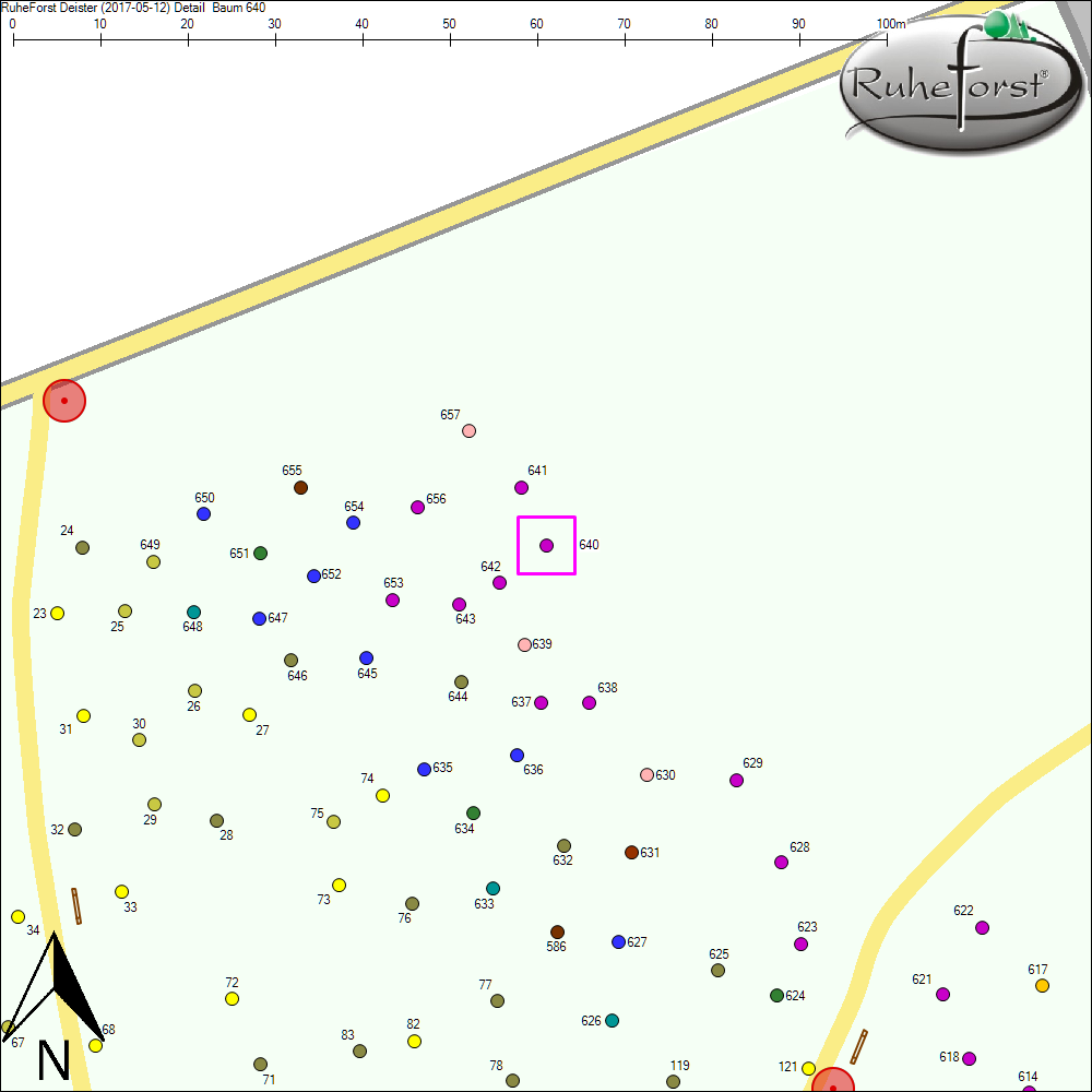 Detailkarte zu Baum 640