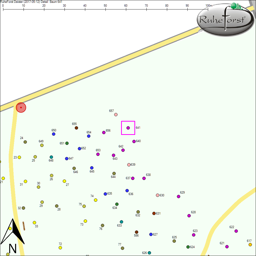 Detailkarte zu Baum 641