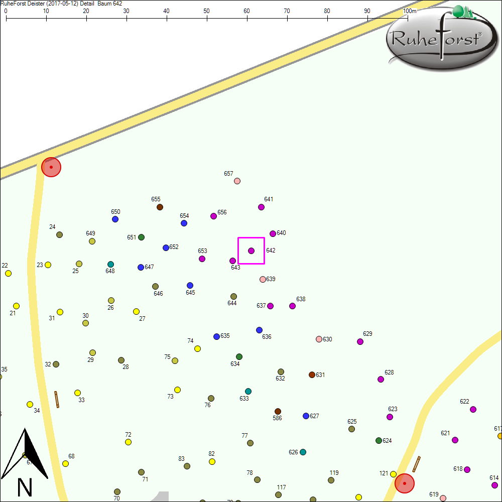 Detailkarte zu Baum 642
