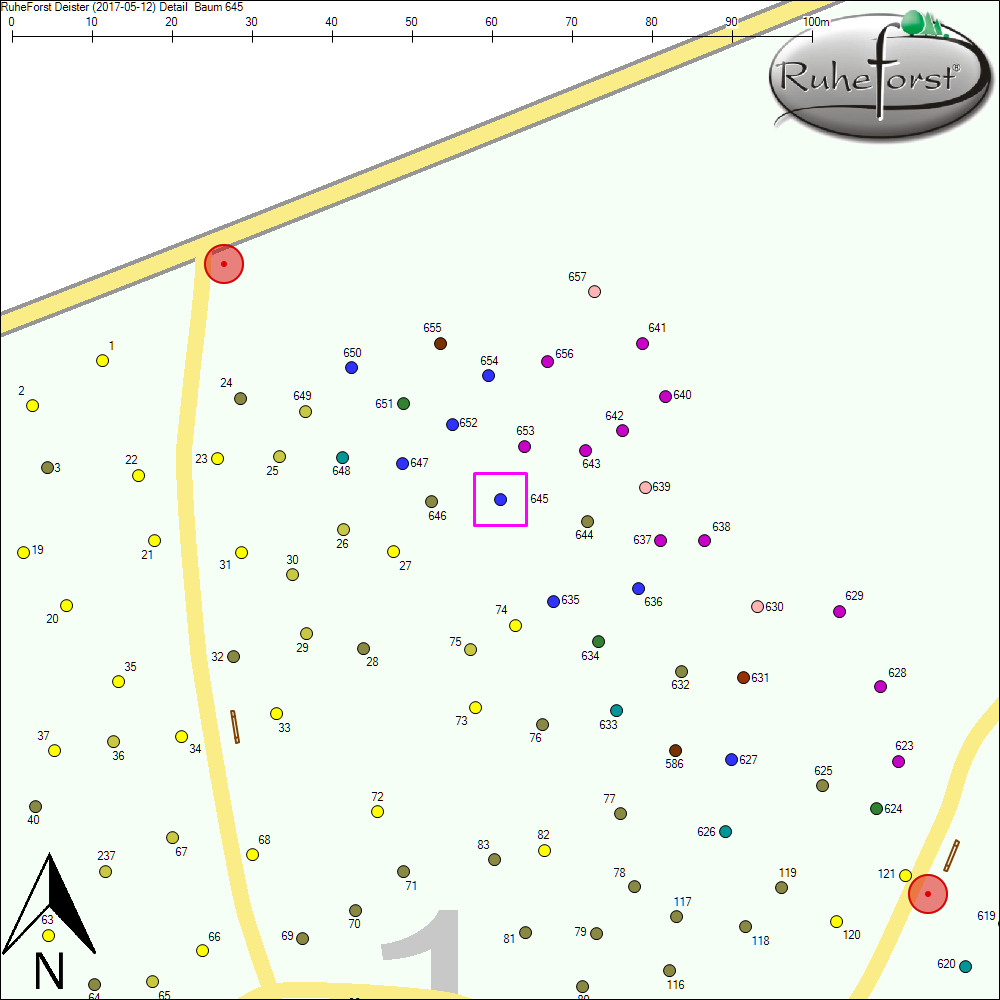 Detailkarte zu Baum 645
