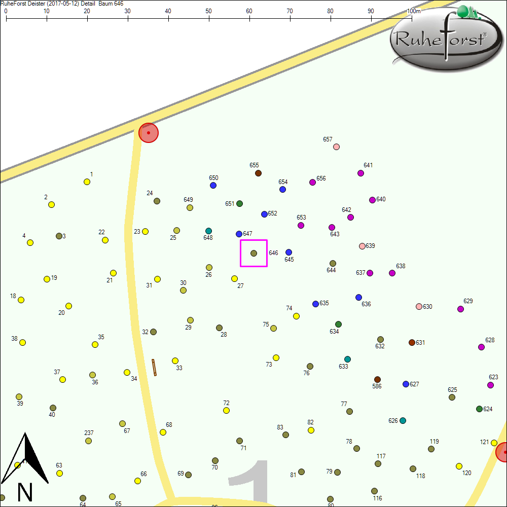 Detailkarte zu Baum 646