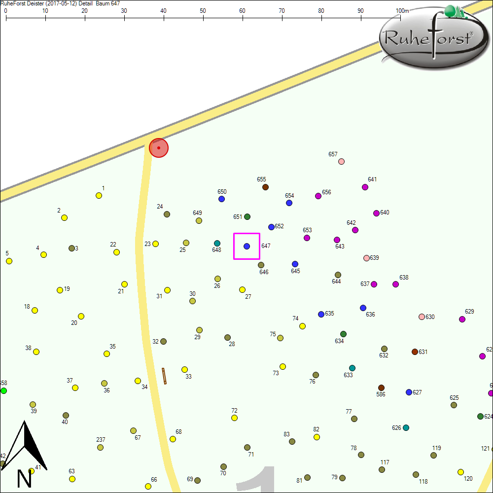 Detailkarte zu Baum 647