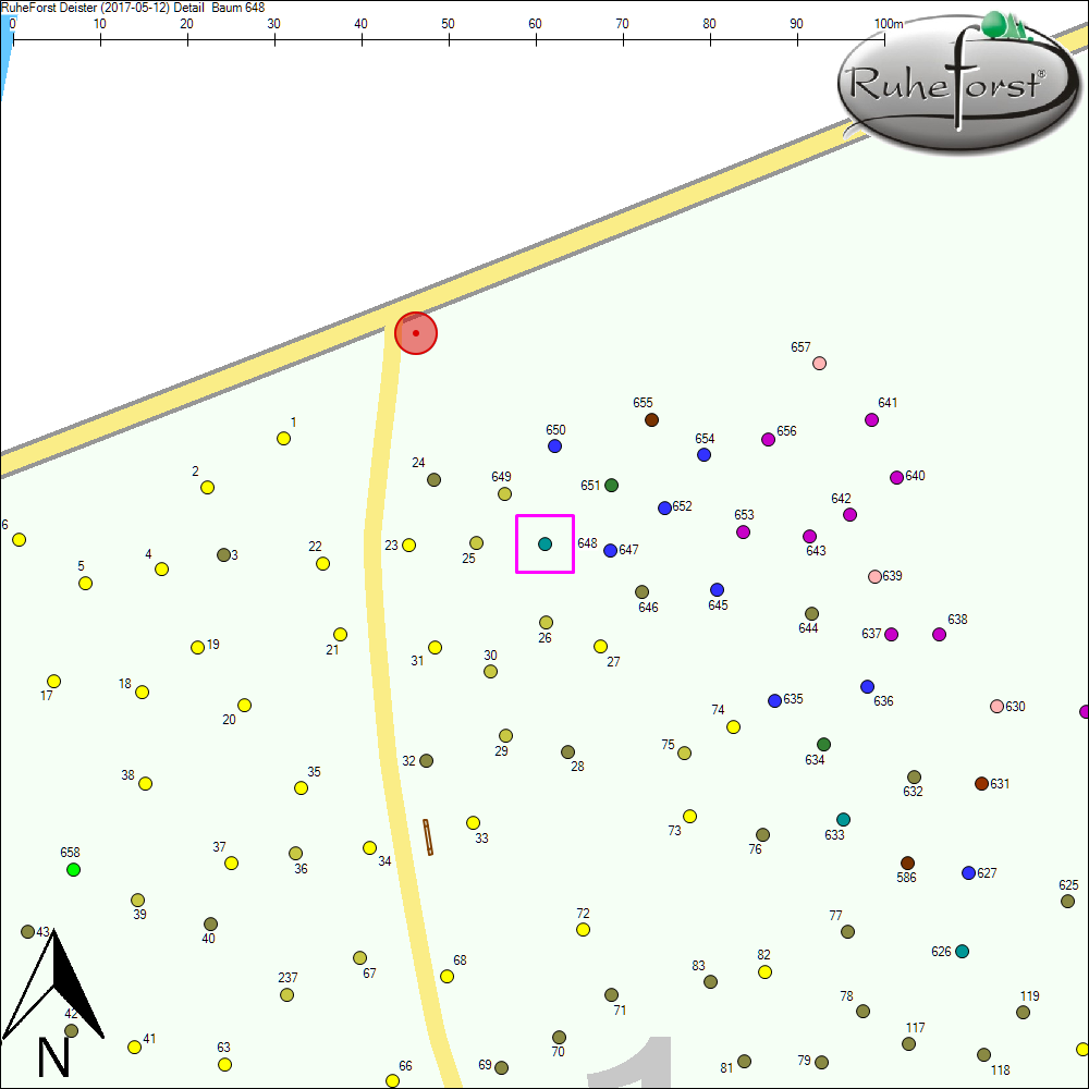 Detailkarte zu Baum 648