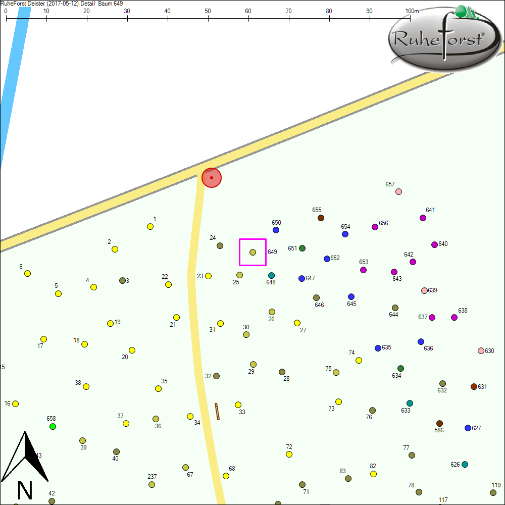 Detailkarte zu Baum 649