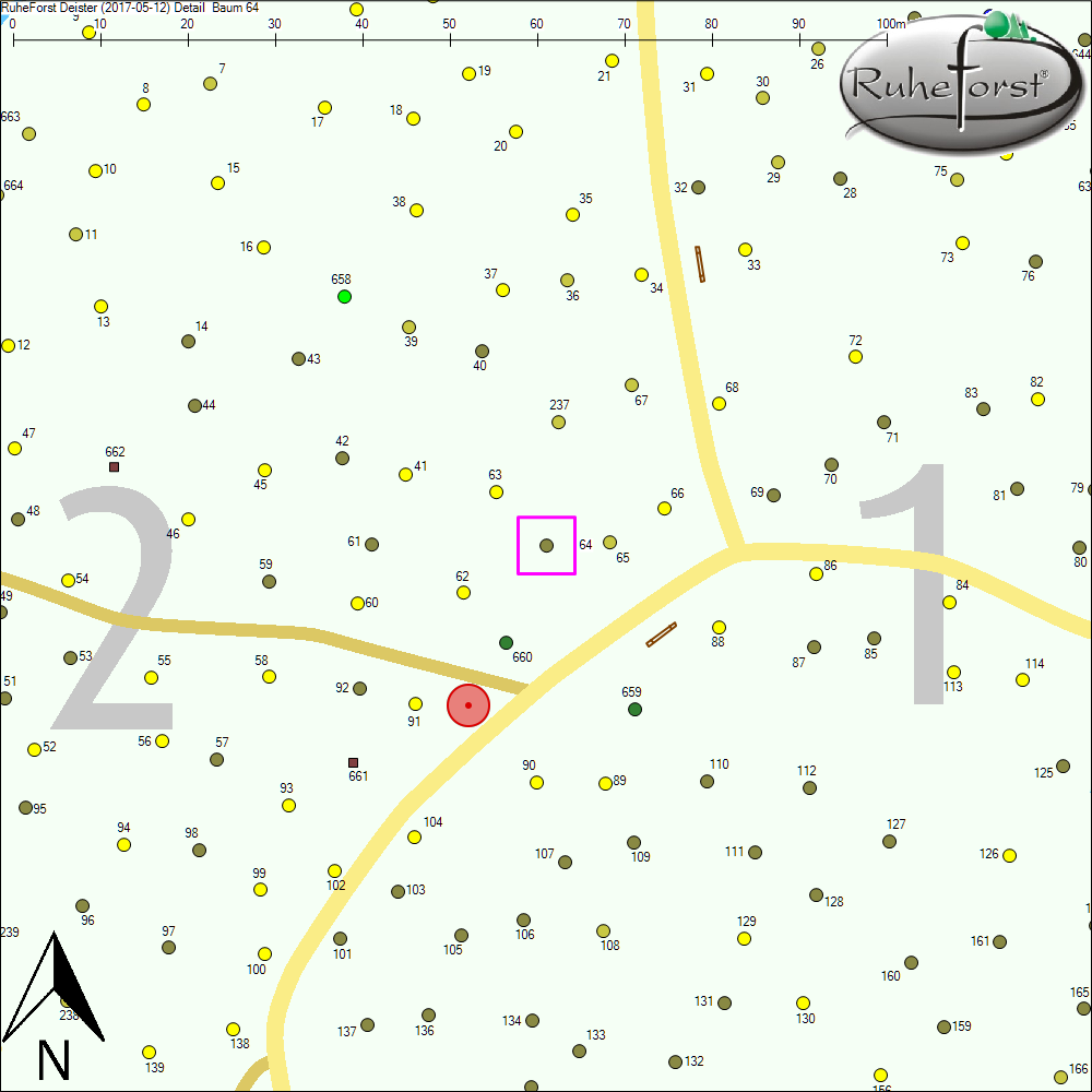 Detailkarte zu Baum 64
