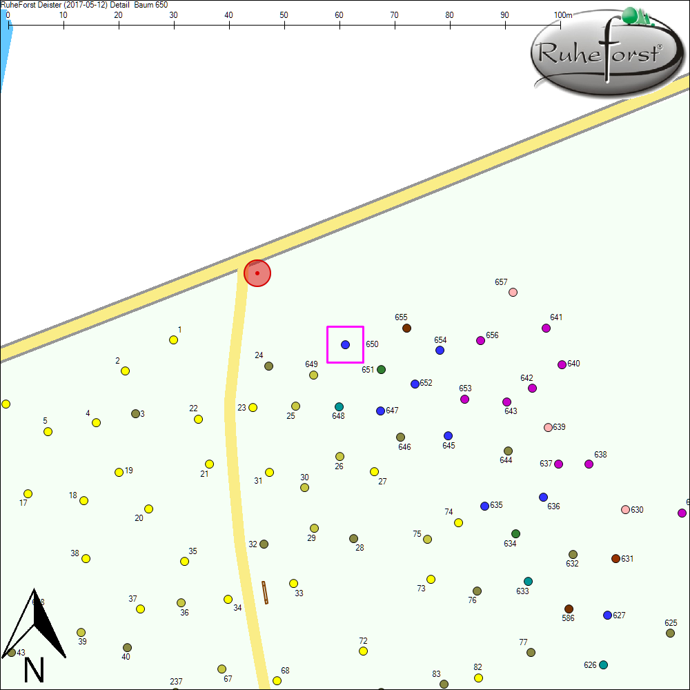 Detailkarte zu Baum 650