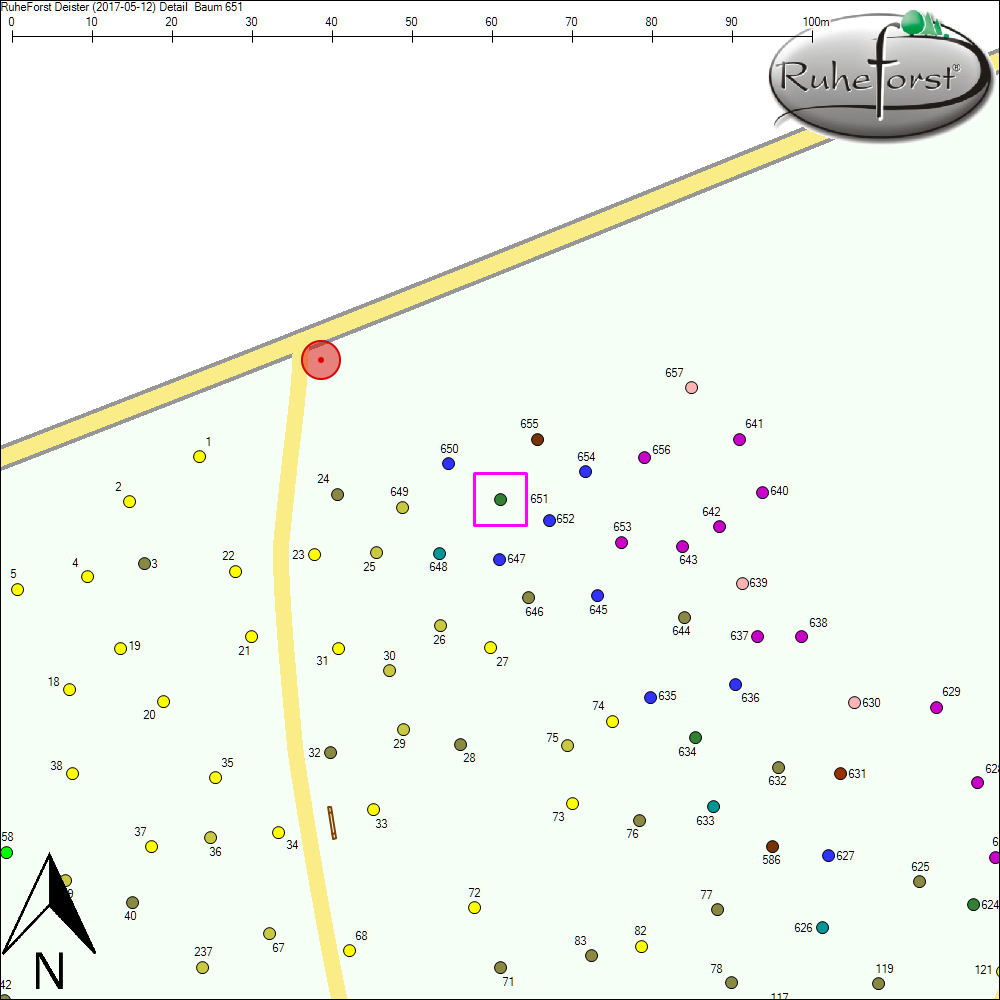 Detailkarte zu Baum 651