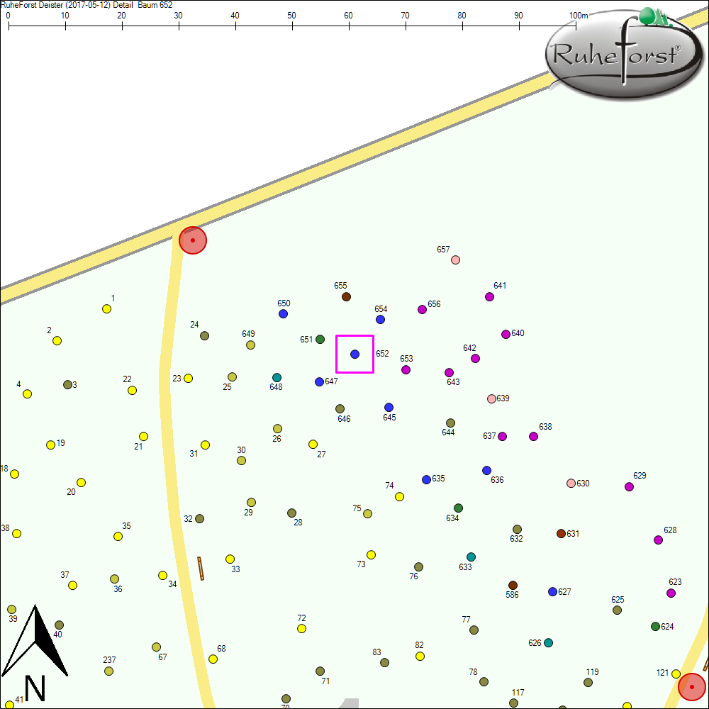 Detailkarte zu Baum 652
