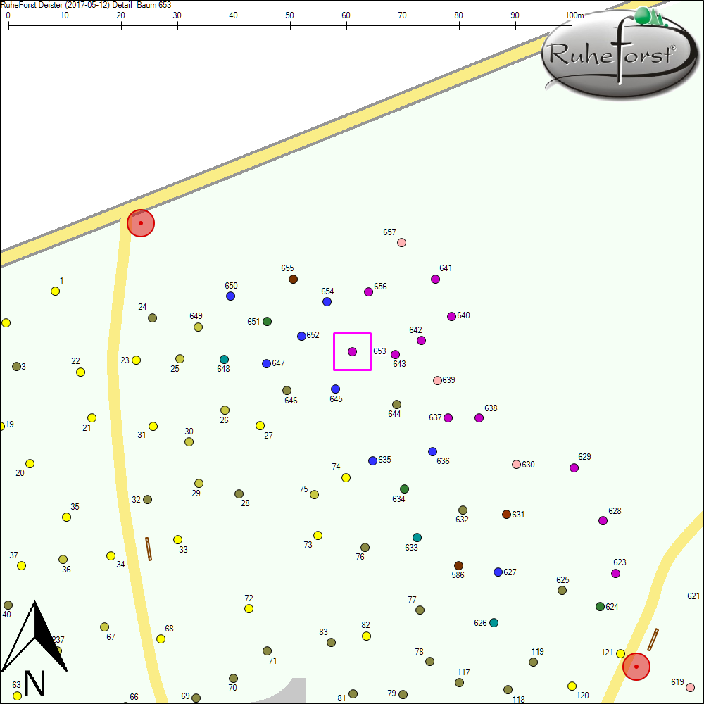 Detailkarte zu Baum 653