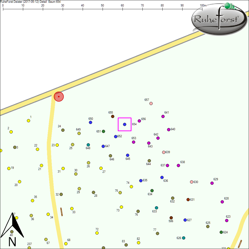 Detailkarte zu Baum 654