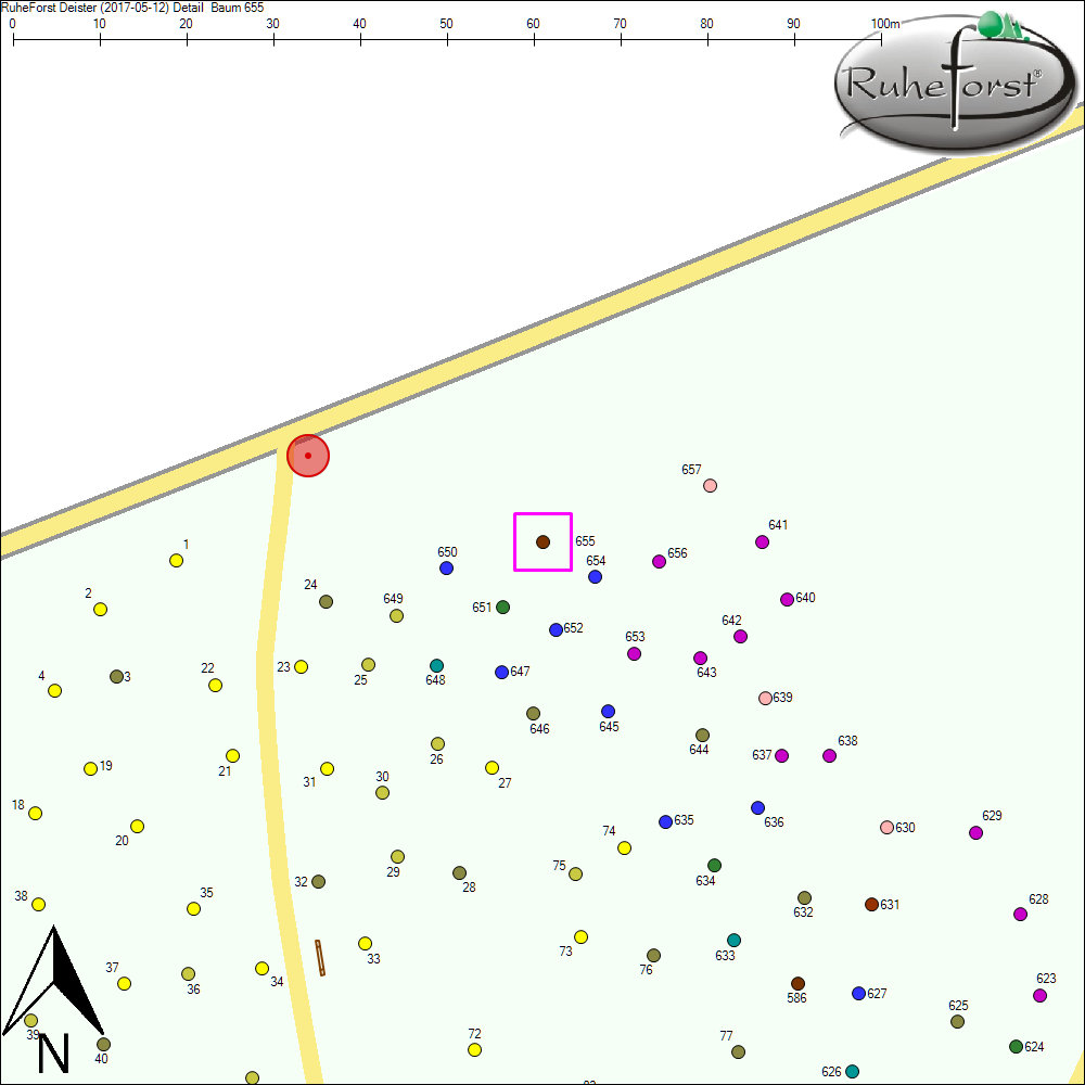 Detailkarte zu Baum 655