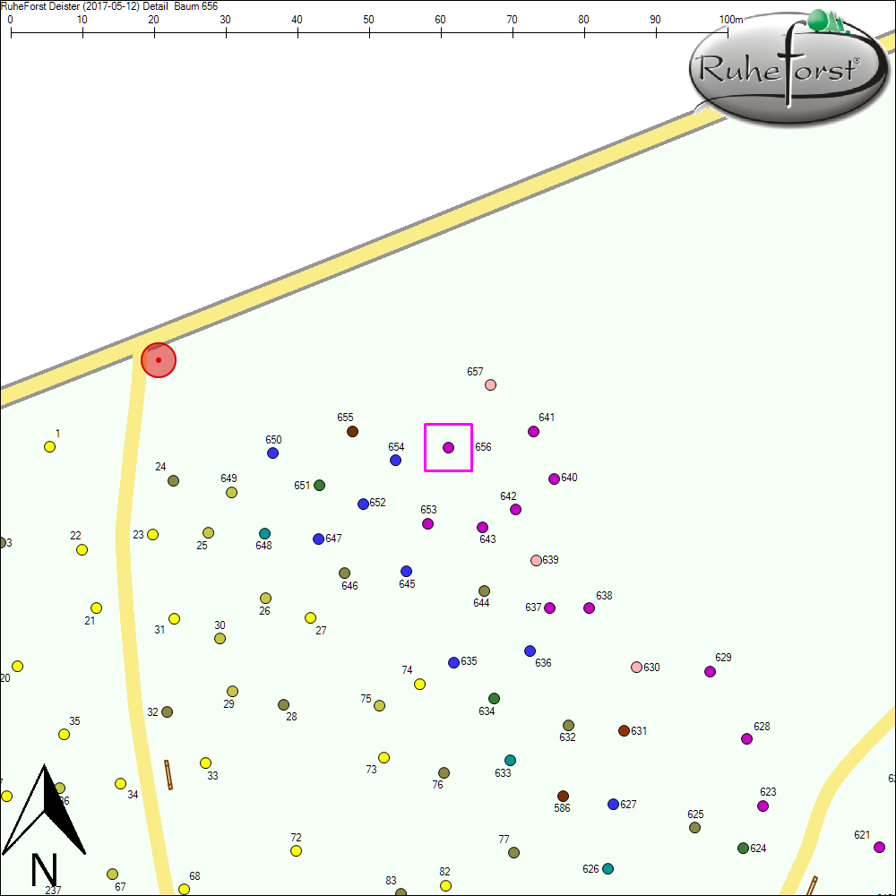 Detailkarte zu Baum 656