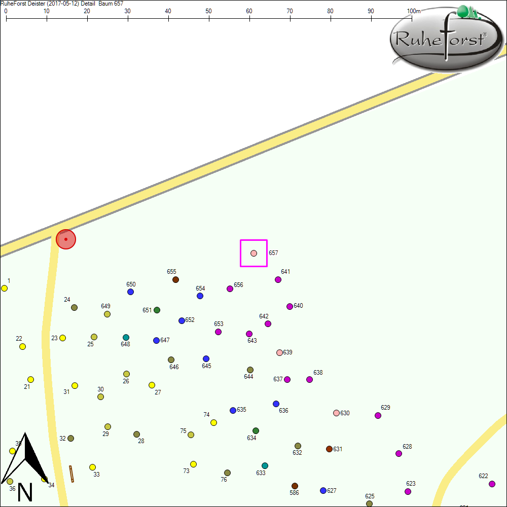 Detailkarte zu Baum 657