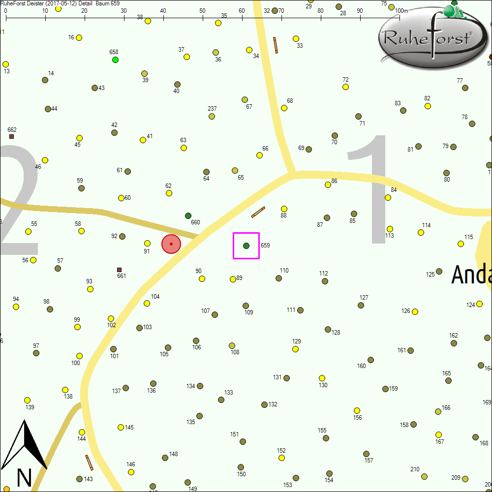 Detailkarte zu Baum 659