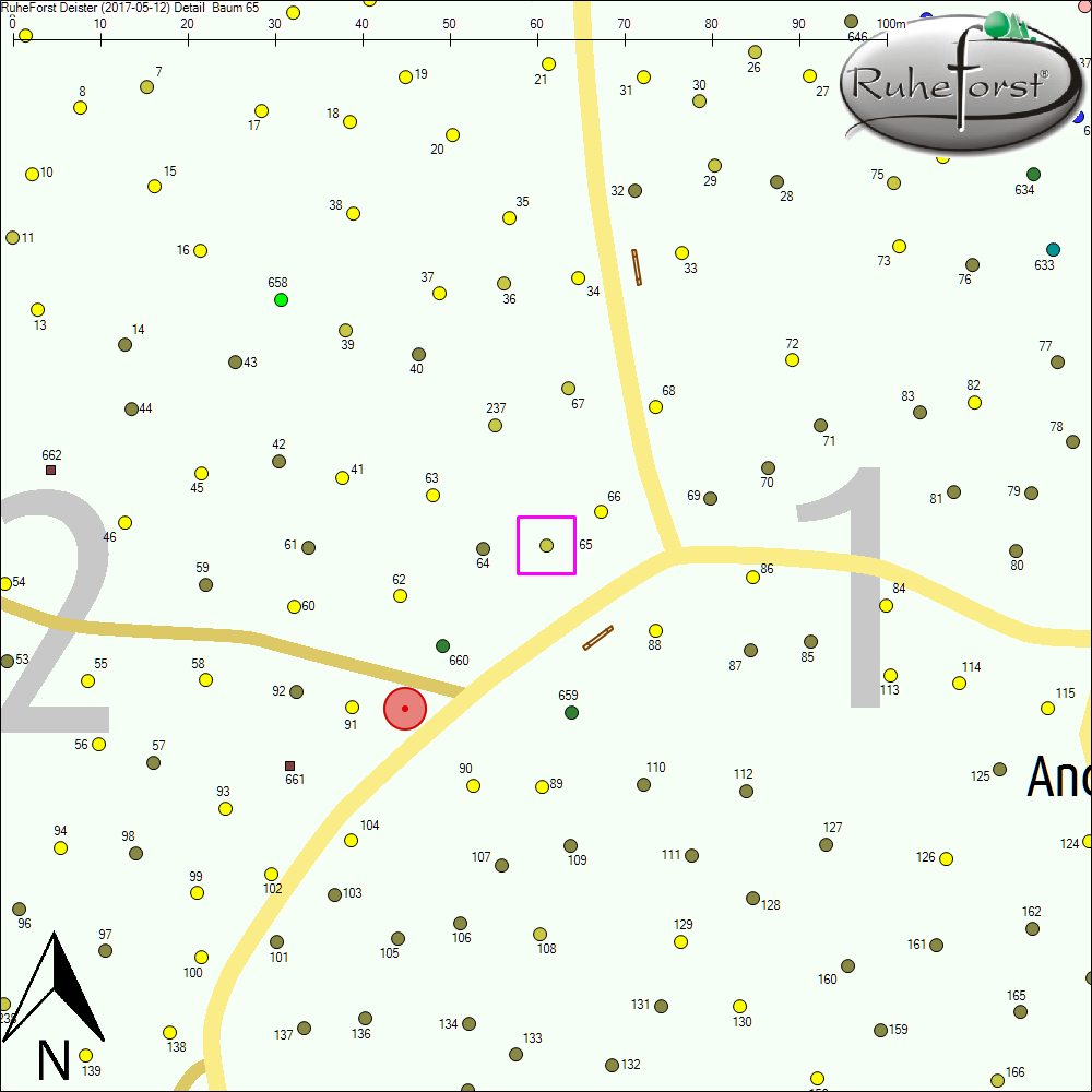 Detailkarte zu Baum 65