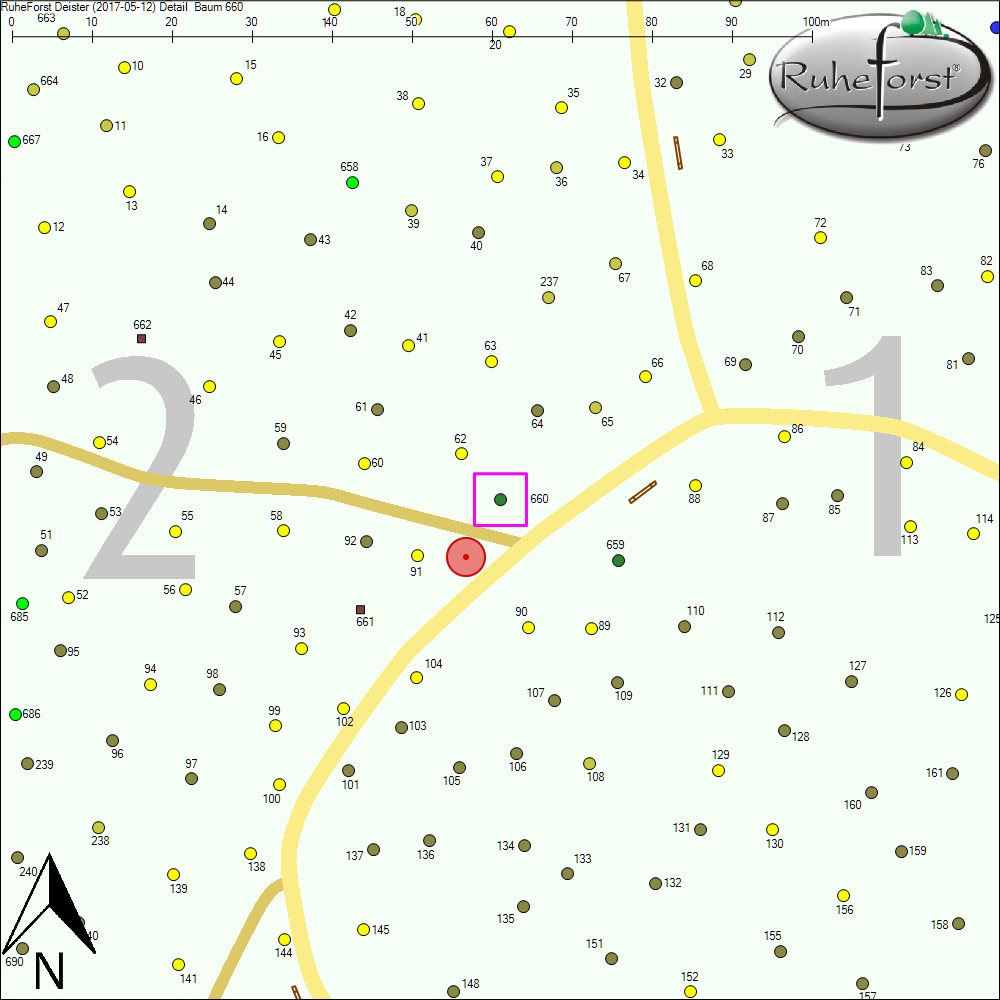 Detailkarte zu Baum 660