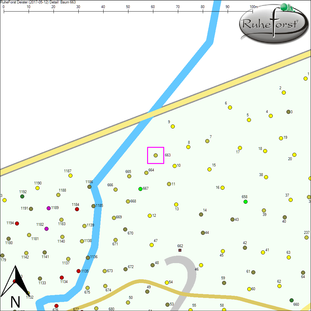 Detailkarte zu Baum 663