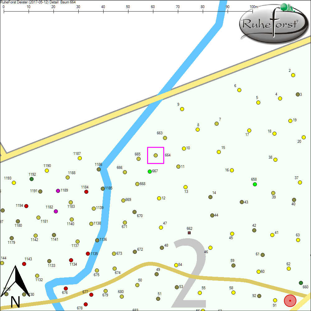 Detailkarte zu Baum 664