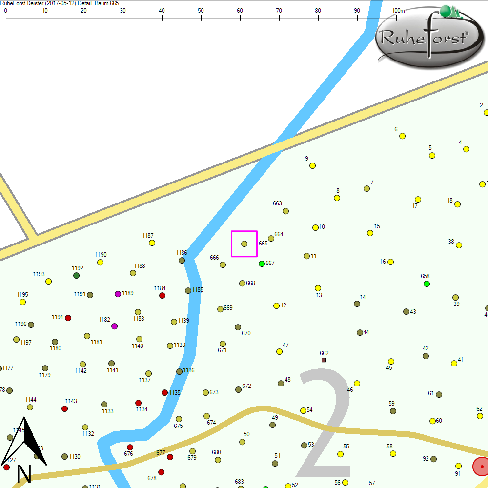 Detailkarte zu Baum 665