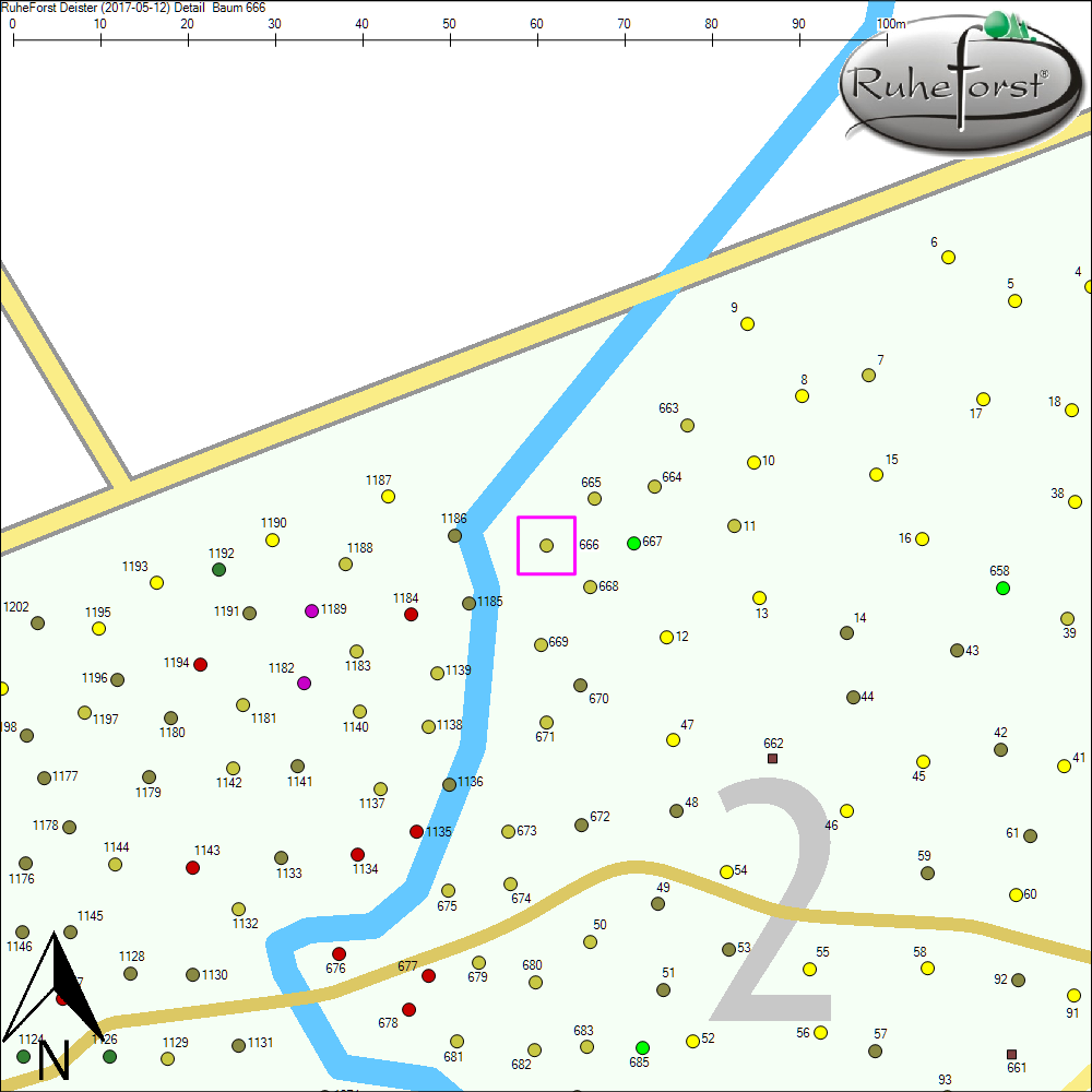 Detailkarte zu Baum 666