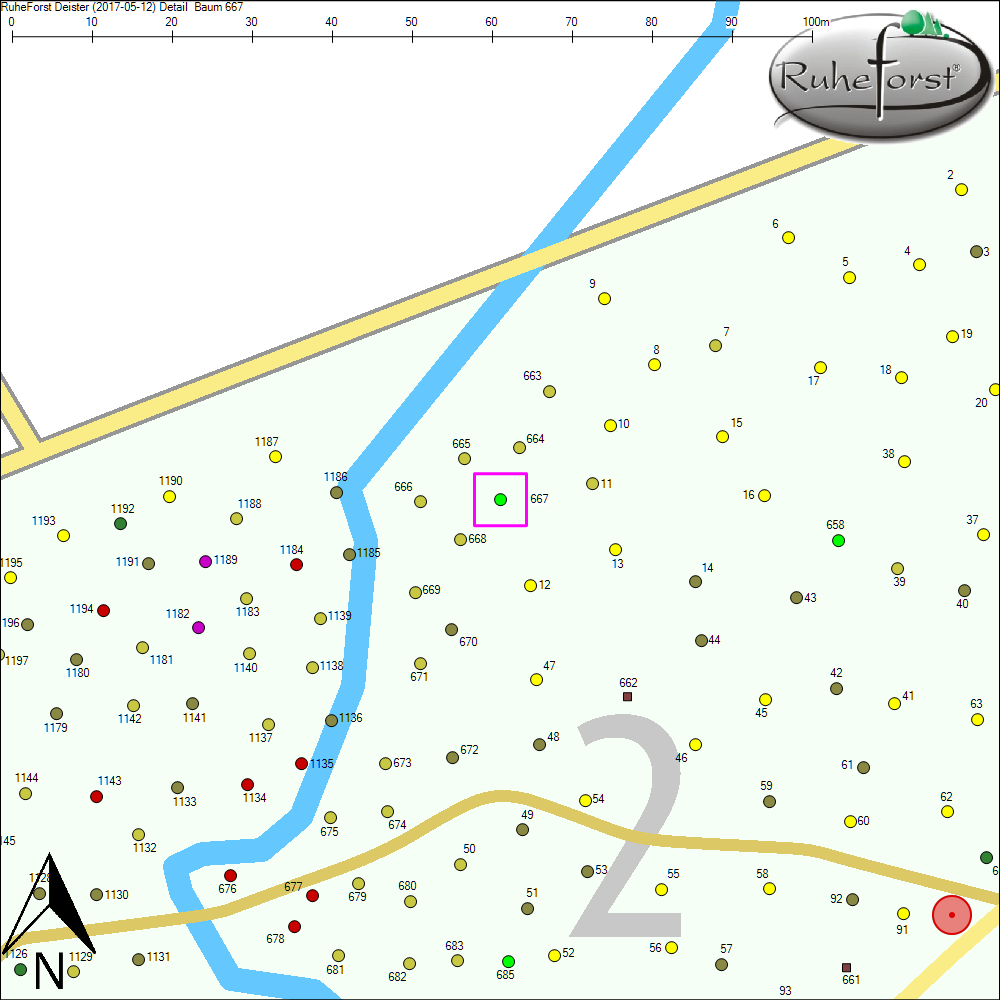 Detailkarte zu Baum 667