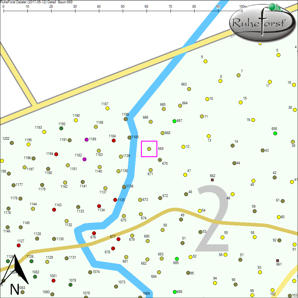 Detailkarte zu Baum 669