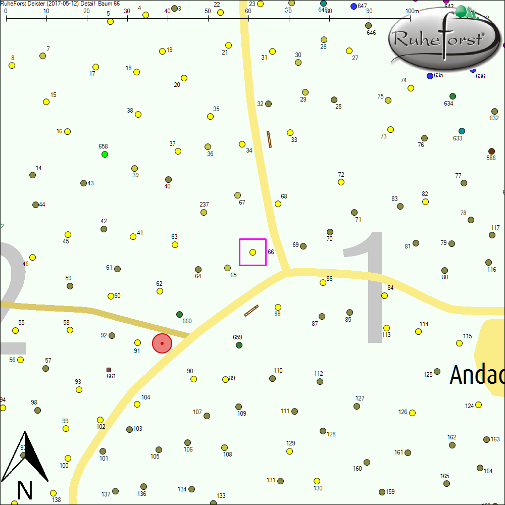 Detailkarte zu Baum 66