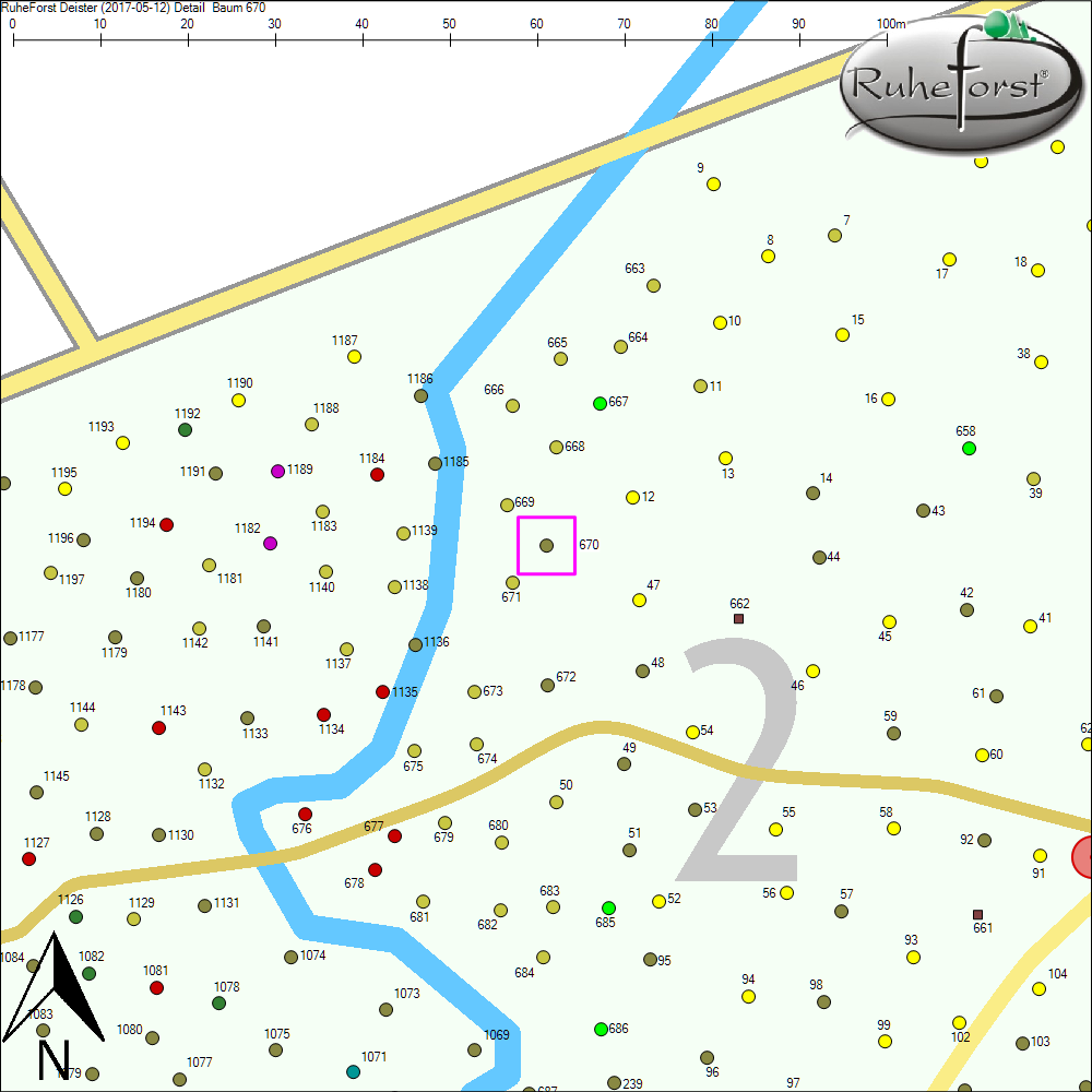 Detailkarte zu Baum 670