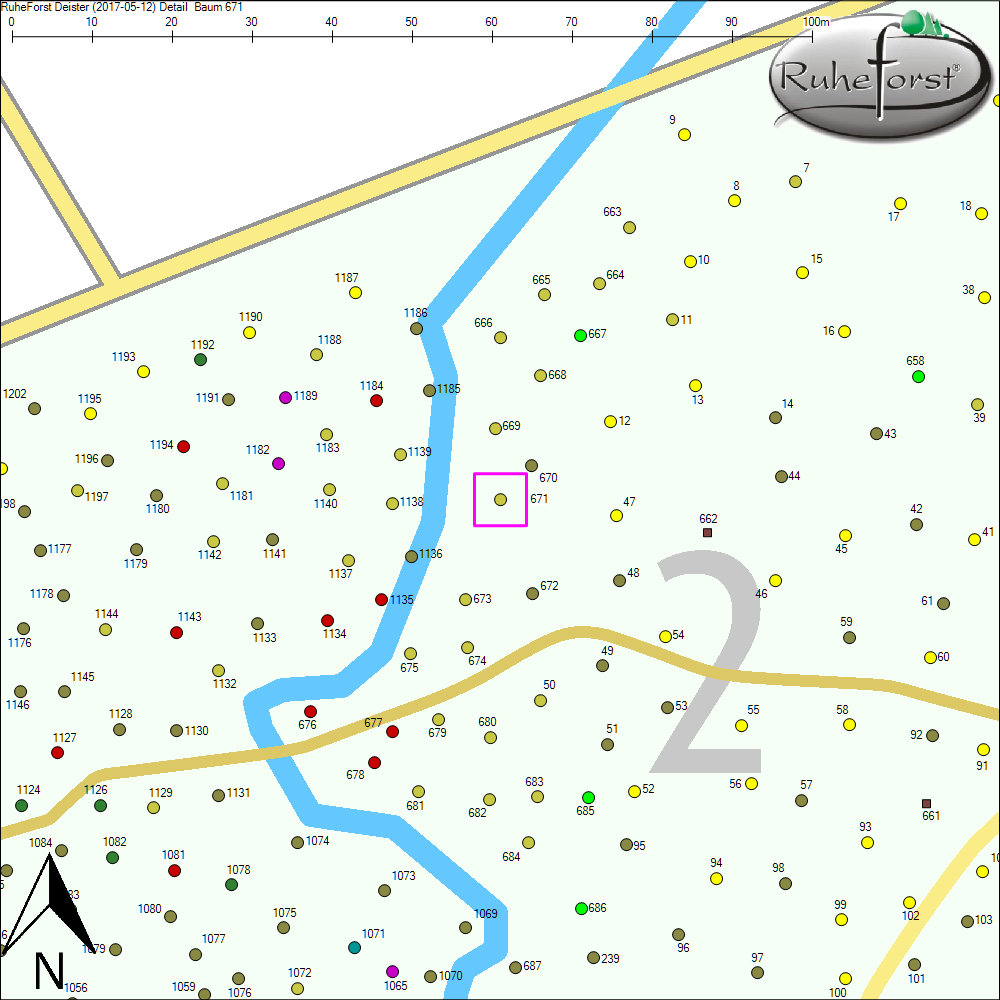 Detailkarte zu Baum 671