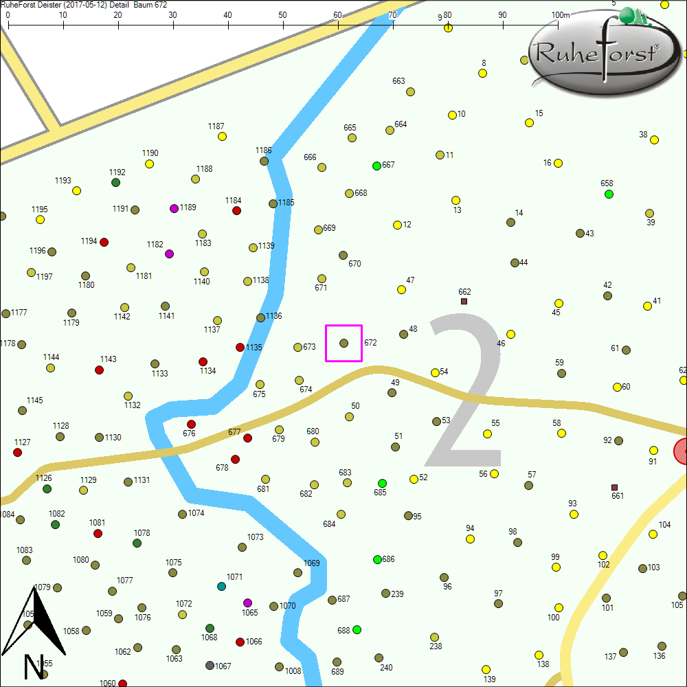 Detailkarte zu Baum 672