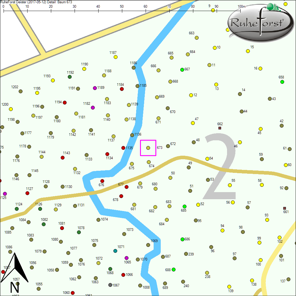 Detailkarte zu Baum 673