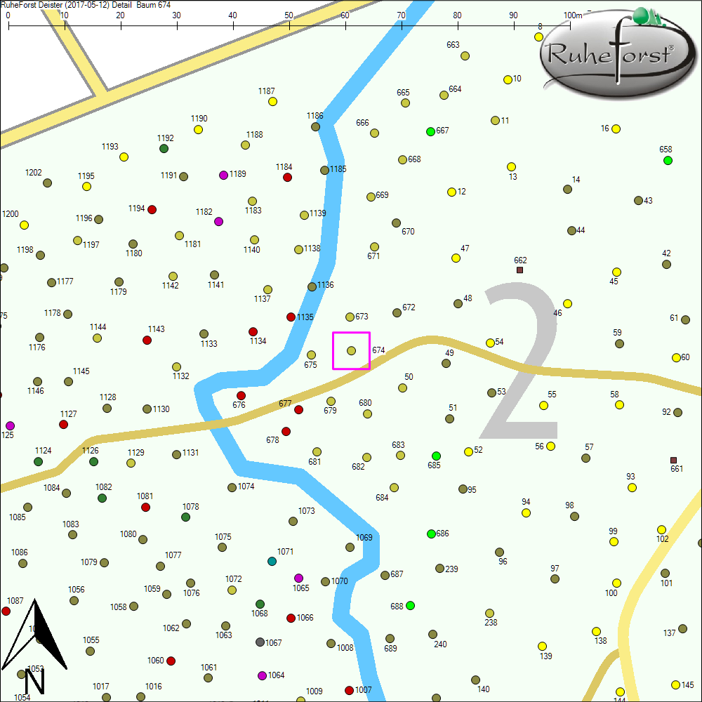 Detailkarte zu Baum 674
